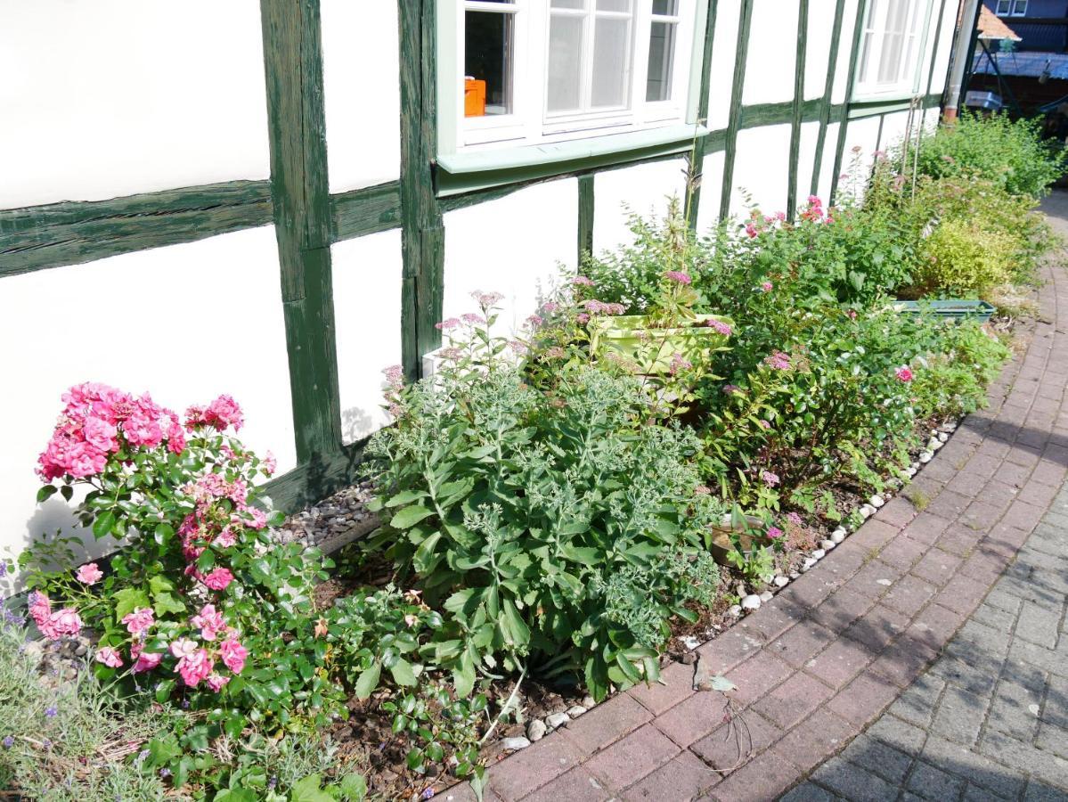 Schloss Goldacker - Das Schloss Der Gesundheit Weberstedt Luaran gambar